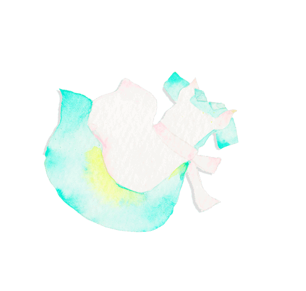 衣類